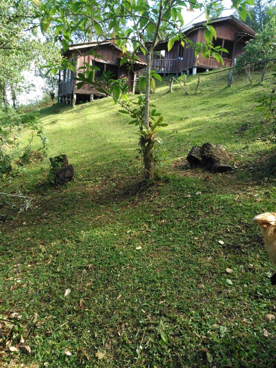 Cabanas Don Camilo Albergue De Montana Cabecera de Canas 外观 照片