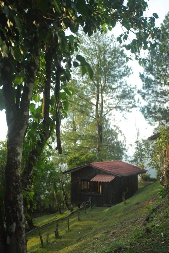 Cabanas Don Camilo Albergue De Montana Cabecera de Canas 外观 照片